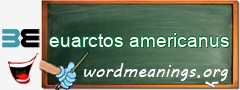 WordMeaning blackboard for euarctos americanus